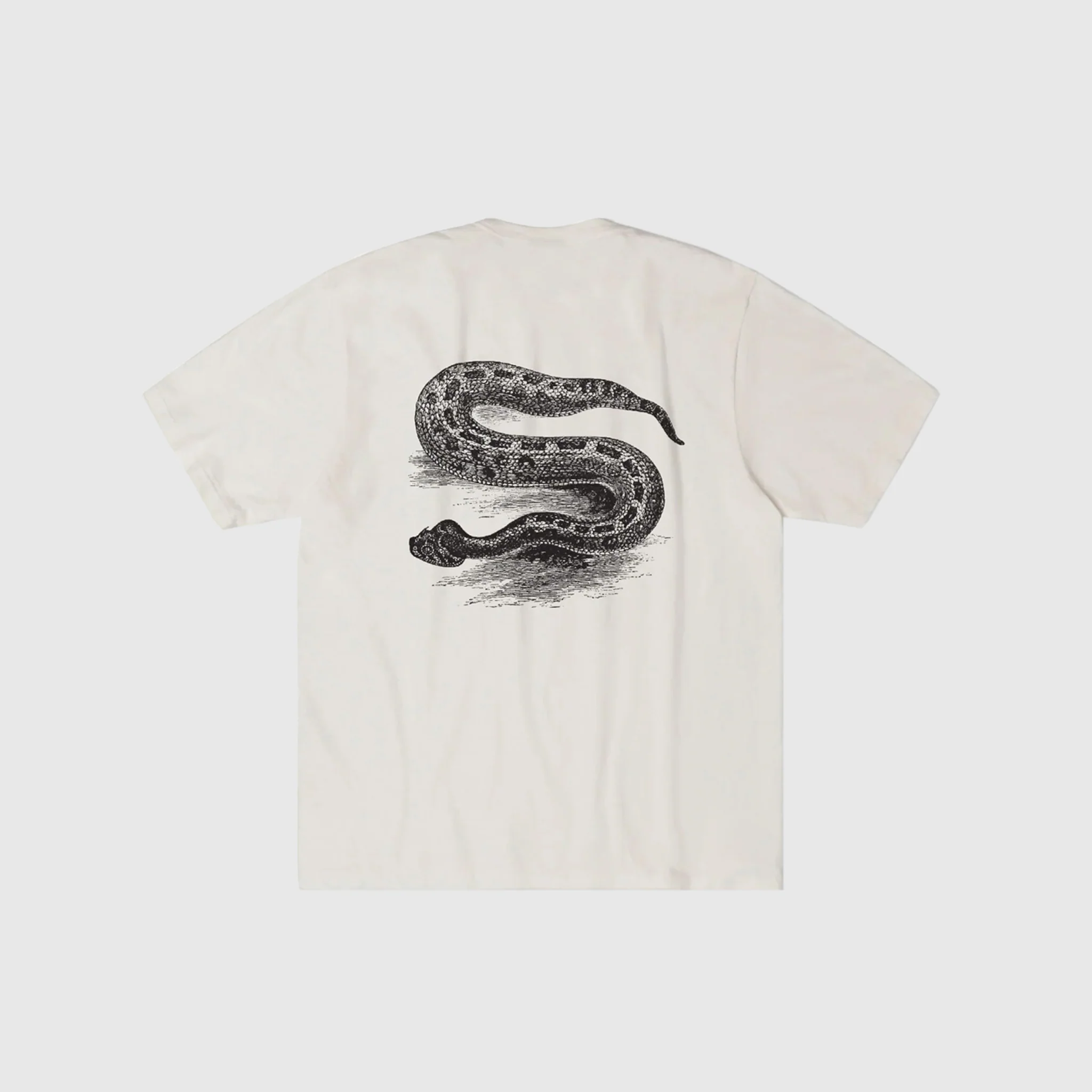 SERPENT PIG. DYED S/S T-SHIRT - Image 2