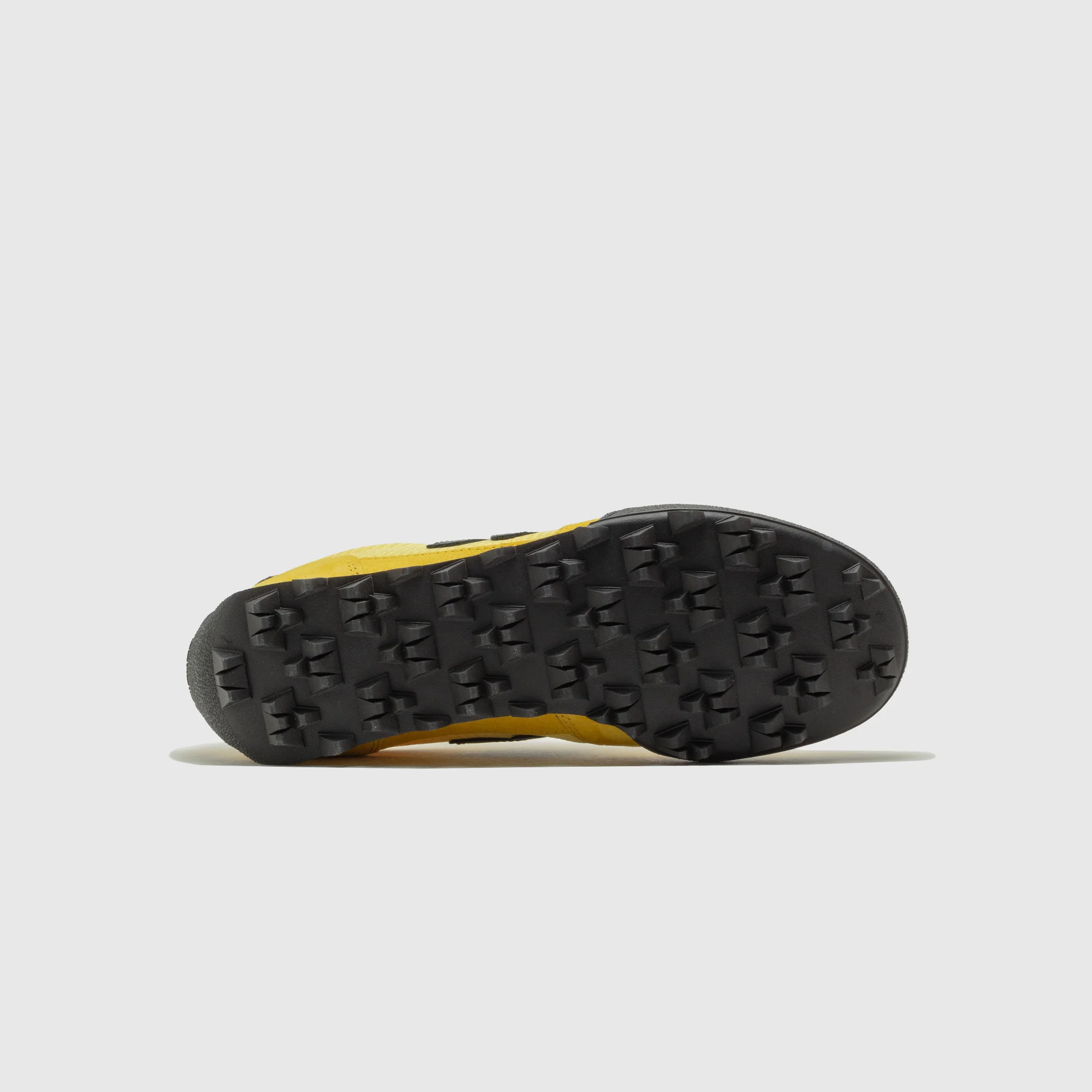 GATOR RUN "APOLLO GOLD" - Image 6