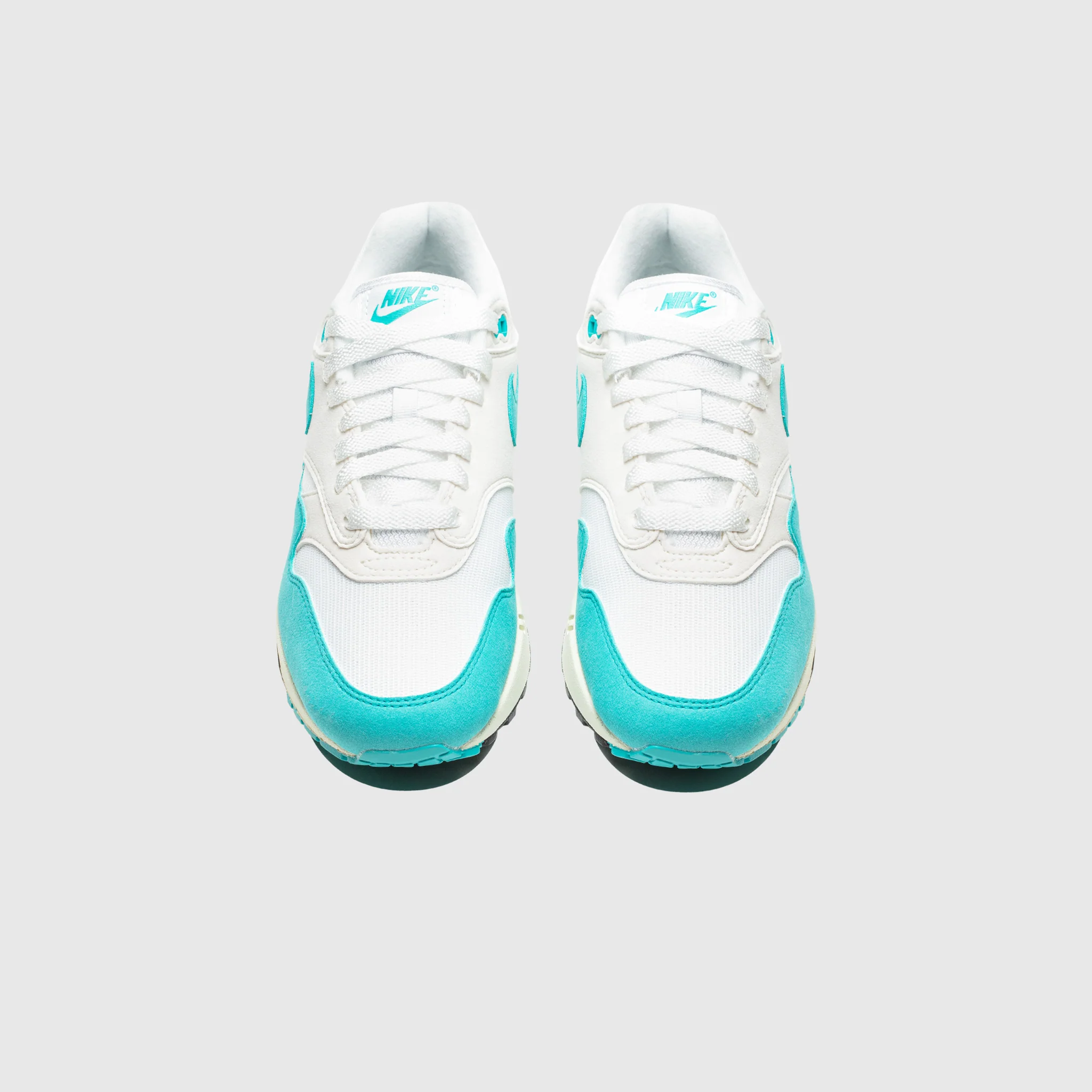 WMNS AIR MAX 1 "DUSTY CACTUS" - Image 3
